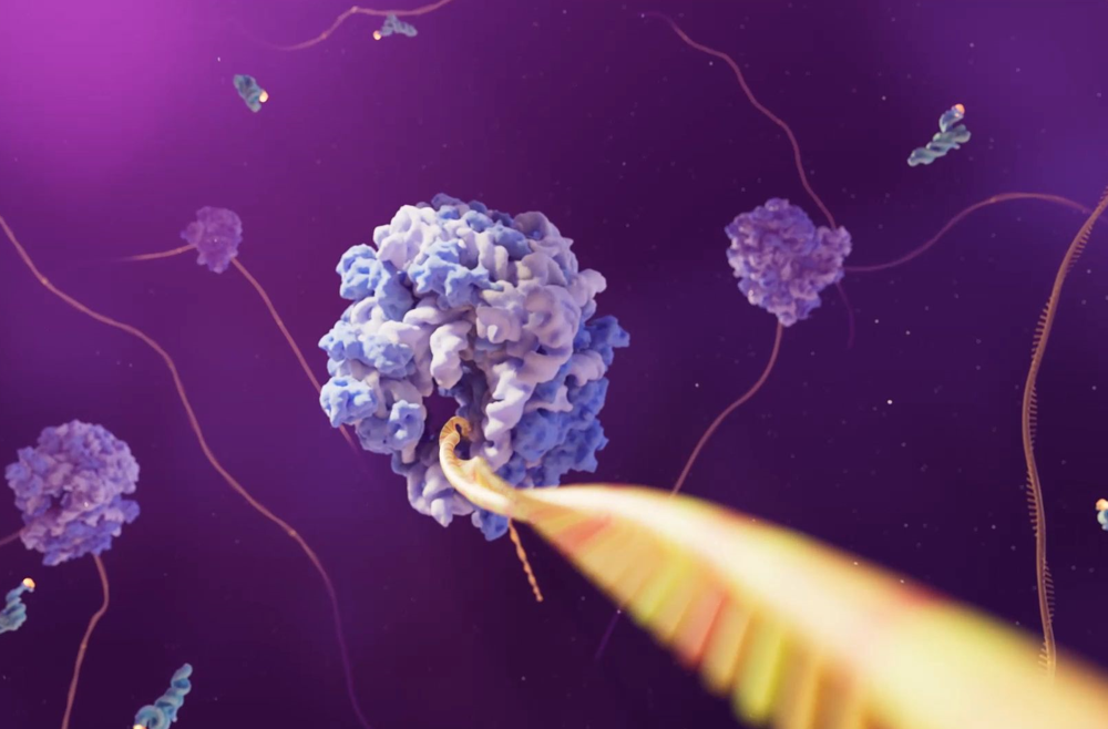 A 3D animated illustration of mRNA